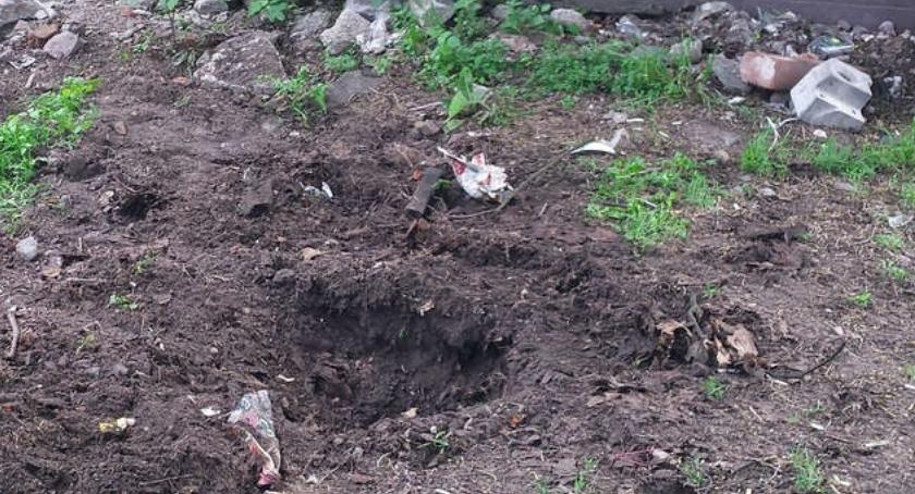 Torunianin w wyjątkowo okrutny sposób potraktował psa!
