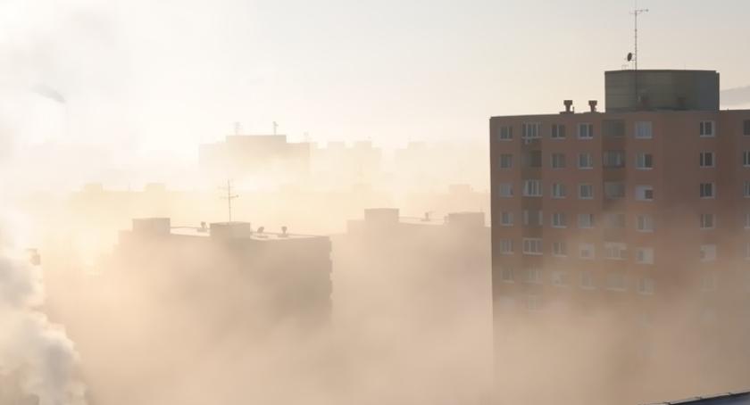 Greenpeace alarmuje: nasze dzieci chorują przez smog!