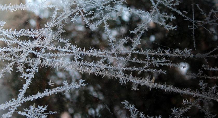 Rozpoczynamy weekend. Czy na początek ferii spadnie śnieg?
