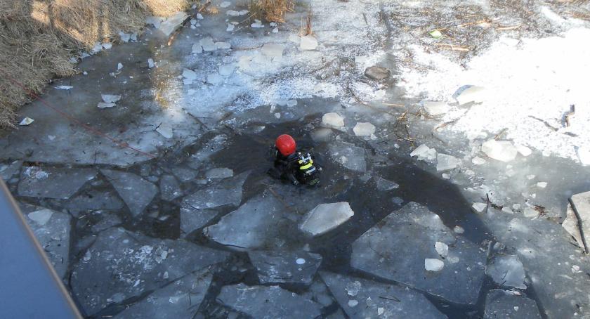 UWAGA! Strażacy szukają dziecka w Martówce na Bydgoskim Przedmieściu [FOTO]