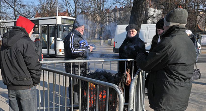 Koksowniki wracają na toruńskie przystanki. Kiedy i gdzie dokładnie się pojawią?