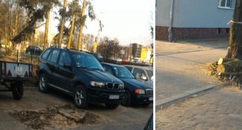 Kolejna wycinka w Toruniu. Dlaczego drzewa poszły pod topór? [FOTO]
