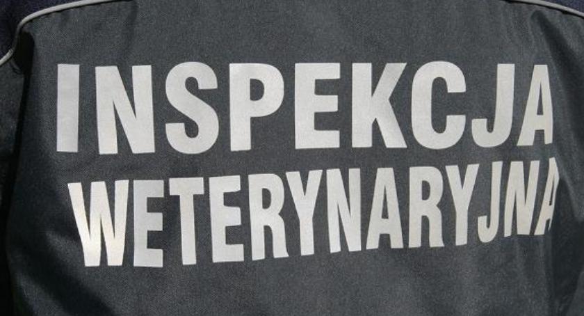 Próbują oszukiwać rolników. Sprawdź, jak się przed tym uchronić