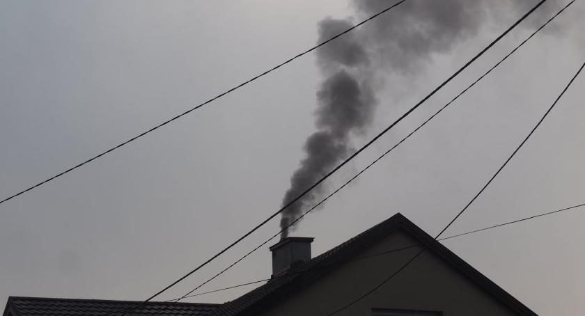 Toruń wolny od smogu? To możliwe!