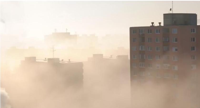 Smog to jedno z największych zagrożeń dla zdrowia, ale można mu zapobiec