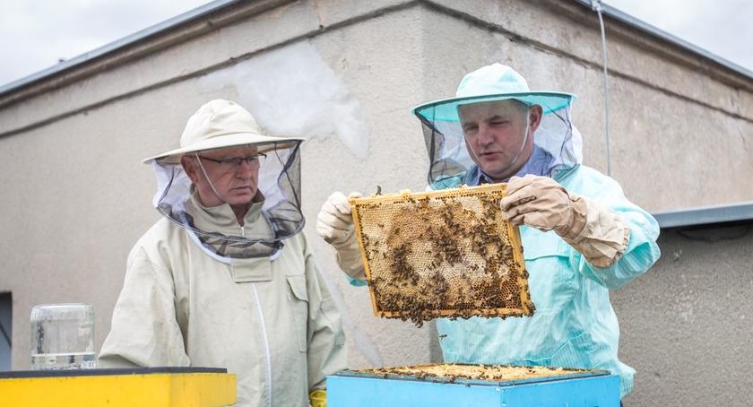 Miodobranie z marszałkiem Całbeckim na dachu Urzędu Marszałkowskiego [FOTO]