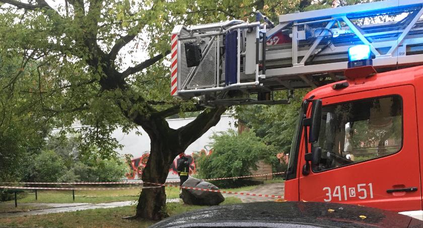 Poranna akcja strażaków na ulicy Dekerta w Toruniu. Co tam się wydarzyło? [FOTO]