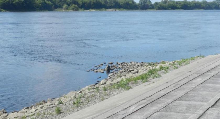 Czytelniczka: widziałam ogromnego węża! Czy to poszukiwany pyton tygrysi? [FOTO]