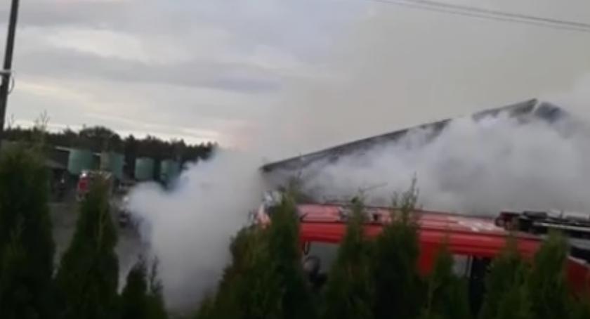 Pożar pod Toruniem. Na miejscu 12 zastępów straży pożarnej