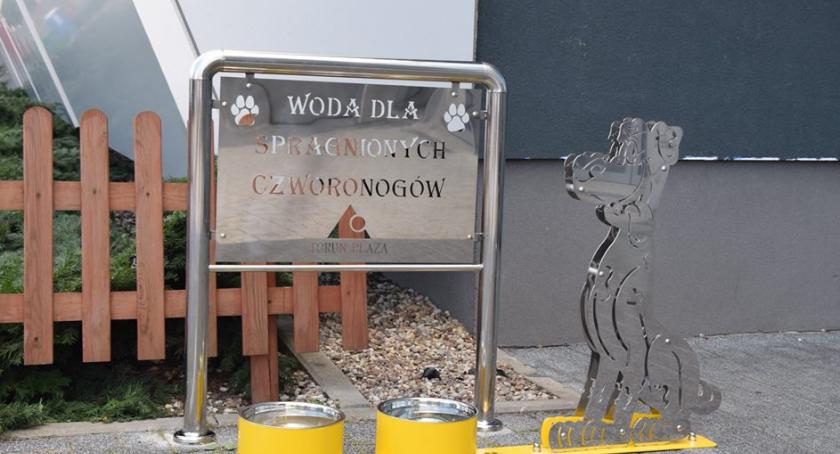 Woda dla czworonogów. Toruń Plaza pamięta o zwierzętach