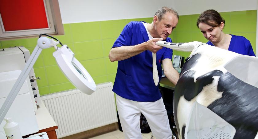 Hitowy kierunek jednak otwarty na UMK! Rozpoczęła się rekrutacja [FOTO]