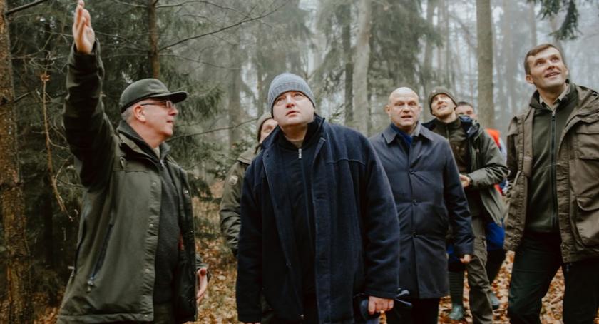 Oto choinka, która w tym roku stanie przed Urzędem Marszałkowskim [FOTO]