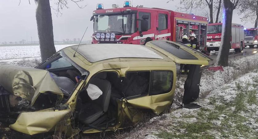 Wypadek pod Toruniem. Samochód uderzył w drzewo [FOTO]