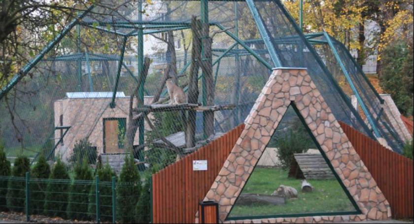 Wyjątkowe ferie w Ogrodzie Zoobotanicznym w Toruniu