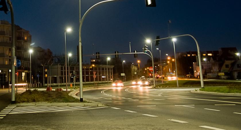 Stado dzików na Trasie Średnicowej w Toruniu [WIDEO]
