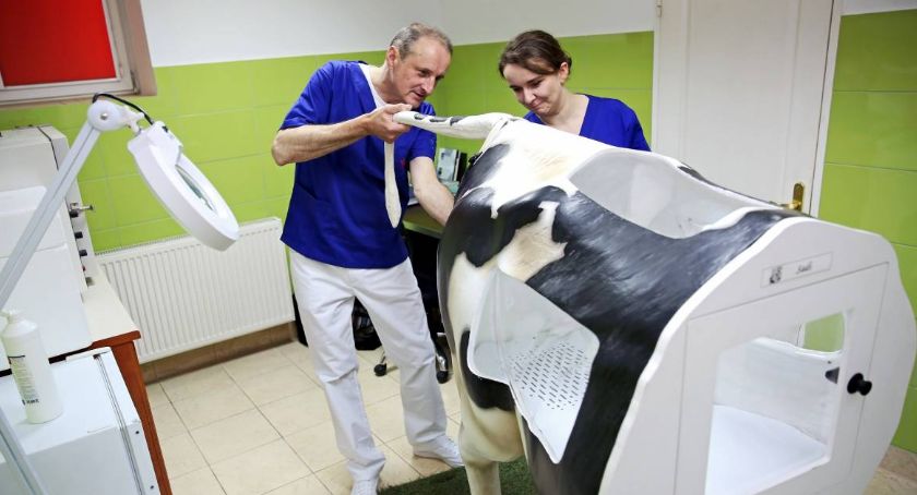 Toruń będzie mieć Centrum Medycyny Weterynaryjnej za 65 mln zł