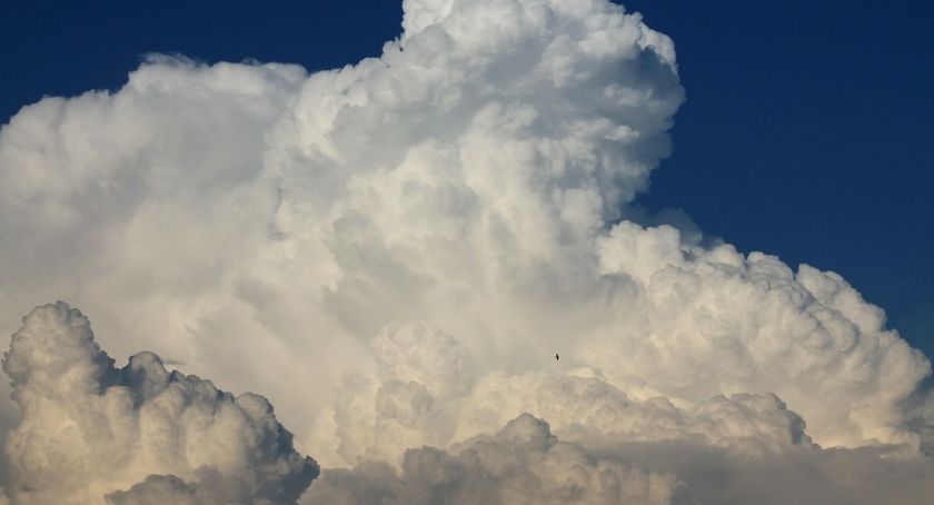 Pogoda dla Torunia. Przed nami słoneczny, ale chłodny dzień