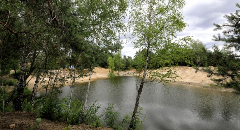 W Toruniu powstaje prawdziwa zielona oaza za 8,5 mln zł [FOTO]