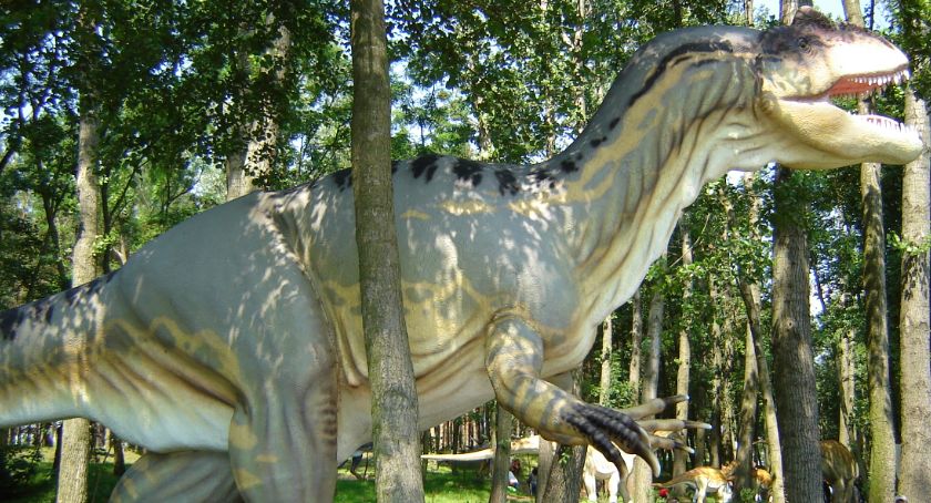 W Toruniu pojawi się oryginalna atrakcja dla dzieci