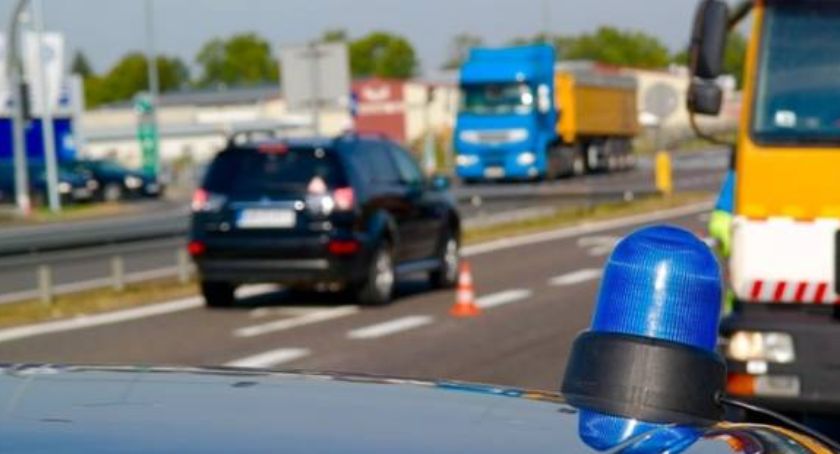 Czterogodzinna obława z udziałem Animal Patrol na ulicach Torunia