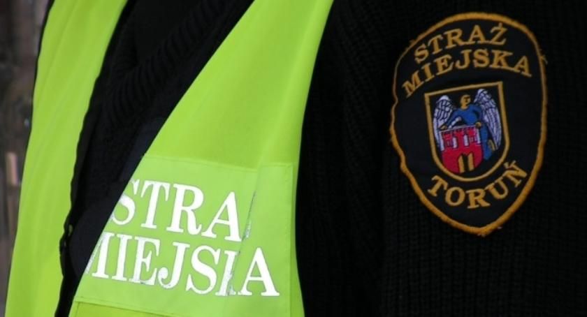 Drapieżny ssak biegał po działce mieszkańca Torunia!