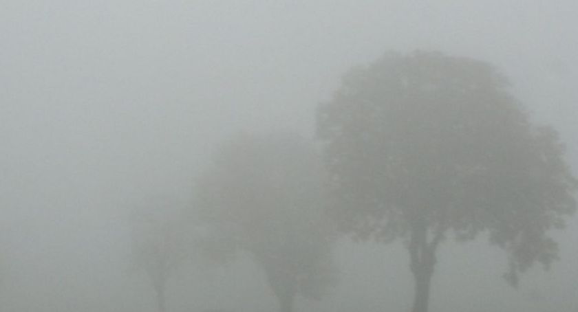 Synoptycy ostrzegają. Gęste mgły na drogach Torunia i okolic!
