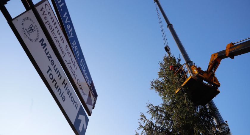 Piękna bożonarodzeniowa choinka stanęła przy Urzędzie Marszałkowskim w Toruniu [FOTO]
