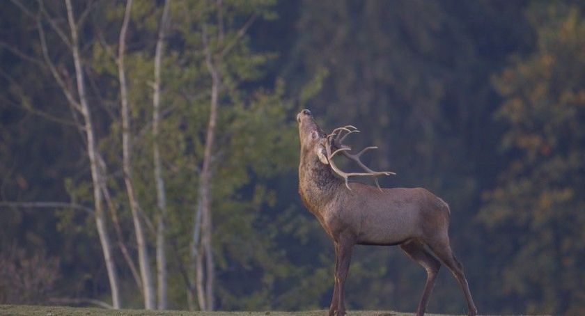Nowy ośrodek ekoedukacji