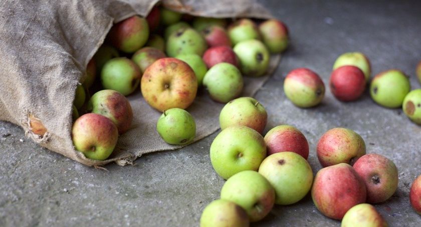 Toruń nie marnuje. Sklep w naszym mieście wspiera inicjatywę ZERO WASTE