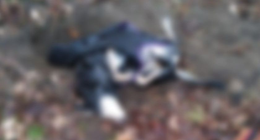 Mieszkańcy zaniepokojeni. W Toruniu został odnaleziony martwy pies