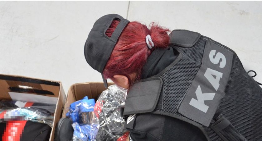 Przewozili kartony z nielegalnymi towarami. Wpadli podczas kontroli KAS pod Toruniem [FOTO]
