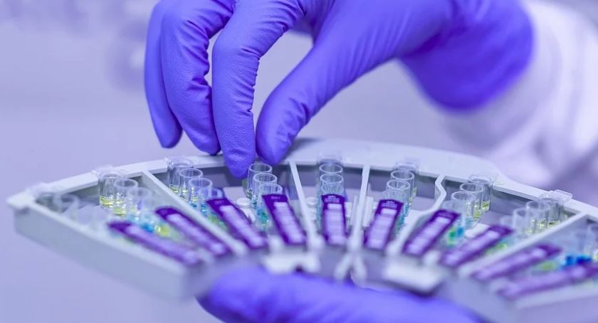 Koronawirus. Raport kujawsko-pomorskich służb wojewody ws. sytuacji epidemicznej