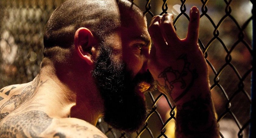 Zakłady bukmacherskie online - dlaczego warto śledzić fame MMA?
