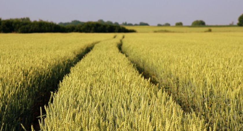 Sensacyjne odkrycie pod Toruniem. Naukowcy zdradzają szczegóły