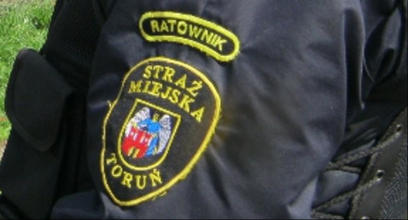 Akcja w toruńskich żłobkach 
