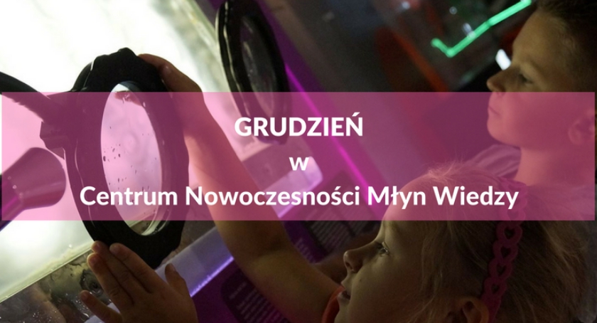 Sobotnie warsztaty rodzinne