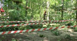 Park Linowy w Toruniu zamknięty. Połamane drzewa zniszczyły trasy