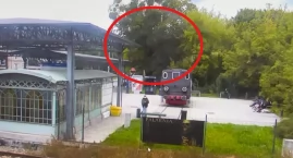 O krok od tragedii w Toruniu. Wielkie drzewo runęło …