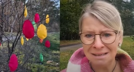 Słynne w Toruniu drzewko wycięte w pień. Kobieta nie…