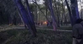 Alarmująca sytuacja w parku w Toruniu. Cztery pożary w ciągu dwóch dni