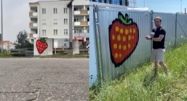 Toruń żyje nową tajemnicą. Zagadkowe truskawki są ju&hellip;