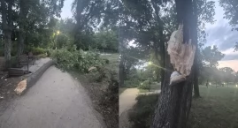 Burza połamała drzewa w parku w Toruniu. Zdjęcia pok&hellip;