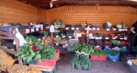 Jest decyzja ws. znanego warzywniaka w Toruniu. Znam&hellip;