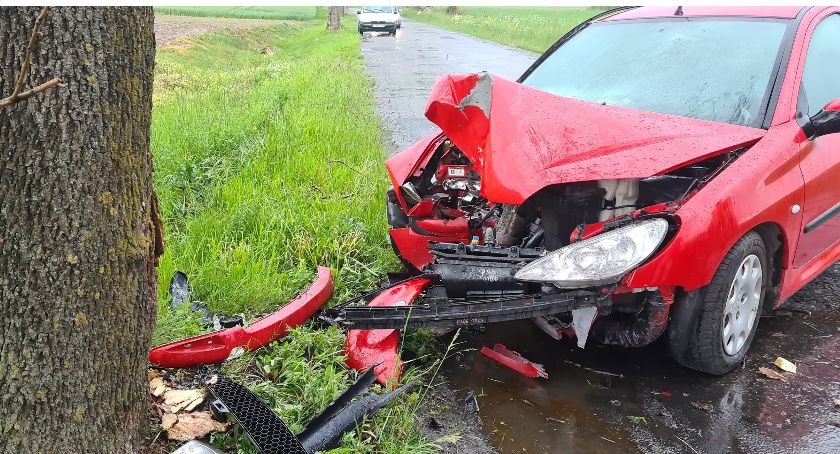 Podróż skończył na drzewie