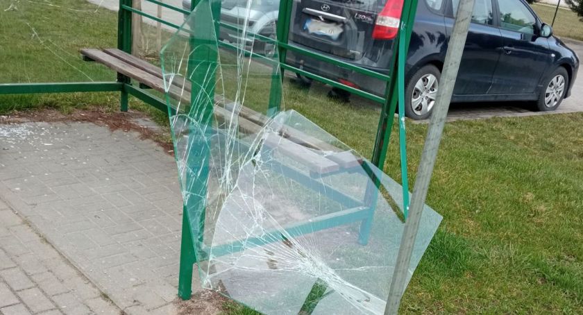 Najpierw bratki, teraz przystanki