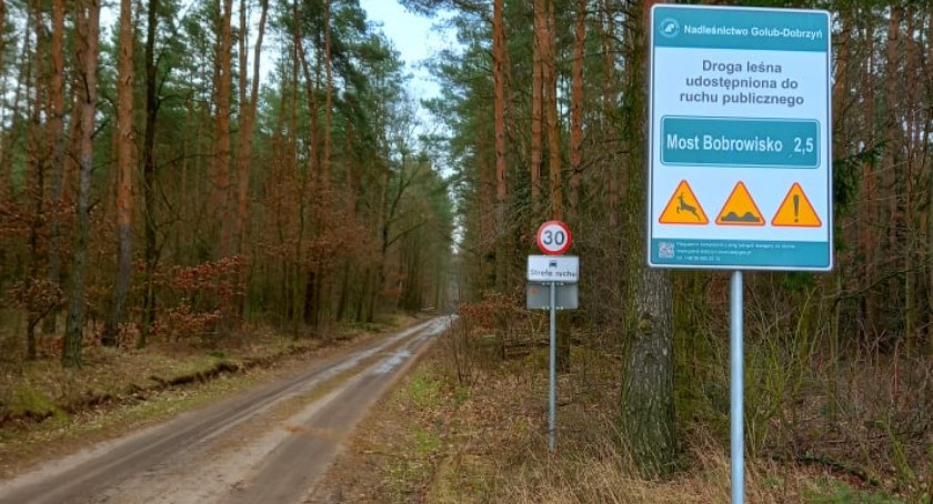 500 zł za wjazd do lasu. A może być gorzej