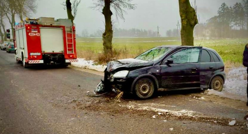 Wypadł z drogi i uderzył w drzewo