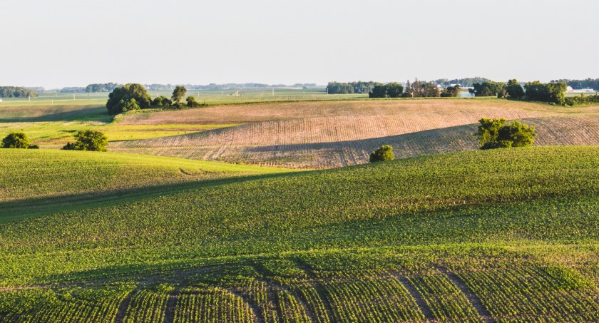 Wystawa lokalnych produktów na dożynkach 