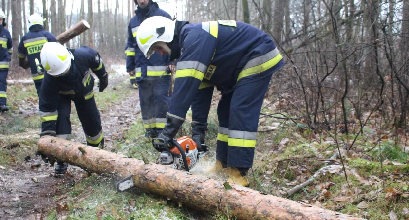 Niepojęte! Okradli strażaków z Płonnego
