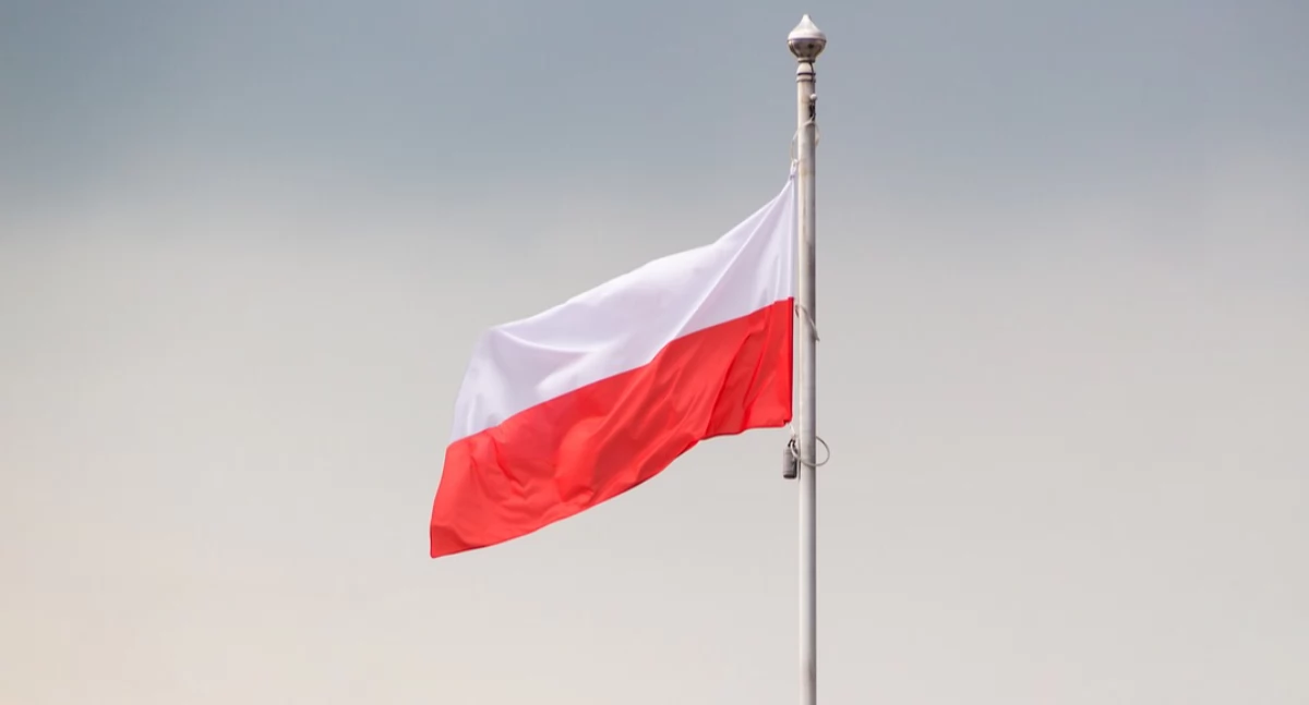 Obchody w Działyniu